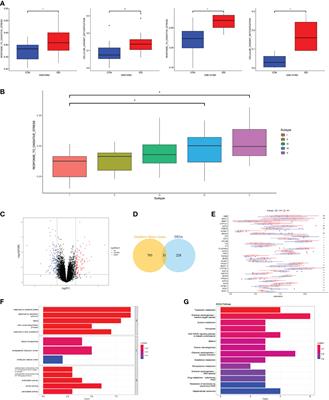 Deciphering the sequential changes of monocytes/macrophages in the progression of IDD with longitudinal approach using single-cell transcriptome